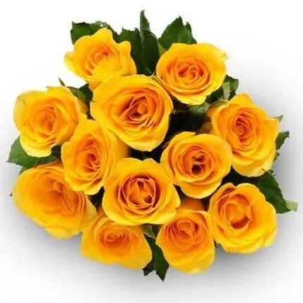 12 Yellow Roses Bunch
